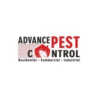 Popular Home Services Advance Pest Control in  