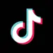 TikTok Paint By Number