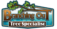 Popular Home Services Branching Out Tree Specialist in  