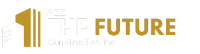 See The Future Construction Inc