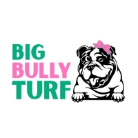 Popular Home Services Big Bully Turf in San Diego 