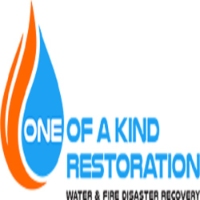 Popular Home Services One of a kind Restoration in  