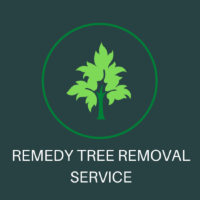 Popular Home Services Remedy Tree Removal Service in Berkeley, CA 