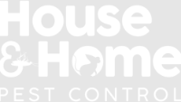 House and Home pest control
