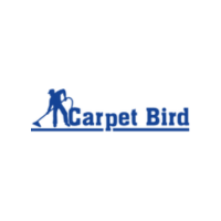 Carpet bird