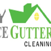 Popular Home Services Gutter Cleaning Cleaning in Marietta GA