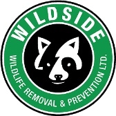 Popular Home Services Wildside Wildlife Removal & Prevention Ltd. in Burlington ON