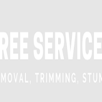 Popular Home Services Tree Service Pros in Aurora, IL 