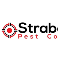 Popular Home Services Strabane Pest Control in  