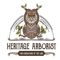 Popular Home Services Heritage Arborist in  