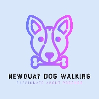 Newquay Dog Walking