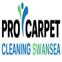 Popular Home Services Pro Carpet Cleaning Swansea in Ystalyfera, Swansea 